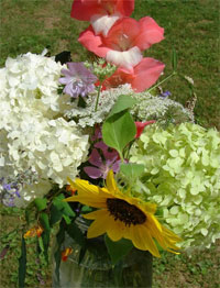 flowers